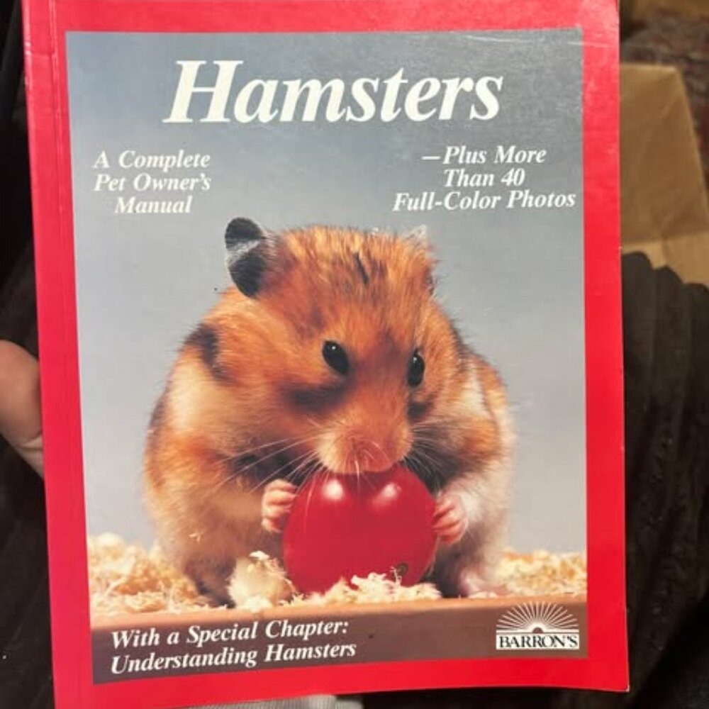 Hamsters: How To Take Care Of Them & Understand Them